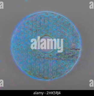 Inspiré par le disque annulaire archaïtique (BI), chinois, dynastie Qing, 1644–1911, 18th–19th siècle, Jade (néphrite), fabriqué en Chine, Asie, Jades, 6 3/4 x 6 3/4 po. (17,1 x 17,1 cm, repensé par Artotop. L'art classique réinventé avec une touche moderne. Conception de lumière chaleureuse et gaie, de luminosité et de rayonnement de lumière. La photographie s'inspire du surréalisme et du futurisme, embrassant l'énergie dynamique de la technologie moderne, du mouvement, de la vitesse et révolutionne la culture Banque D'Images