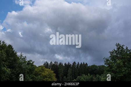 tempête grise nuages sur une forêt mixte avec des conifères et des feuillus Banque D'Images