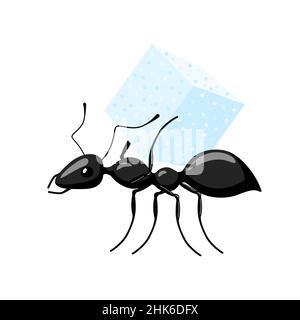 ANT transportant des aliments isolés sur fond blanc.Punaise transportant le cube de sucre et marchant jusqu'à l'anthill.Illustration vectorielle. Illustration de Vecteur