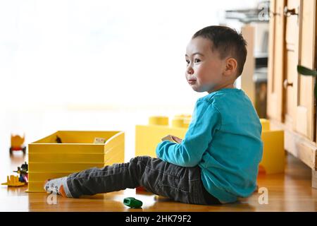 Garçon, 19 mois, multi-ethnique, joue sur parquet, Bade-Wurtemberg, Allemagne Banque D'Images