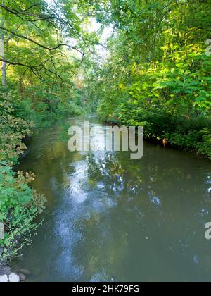 Rivière ILM avec végétation riveraine, Park an der ILM, Weimar, Thuringe, Allemagne Banque D'Images