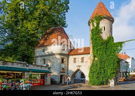 Vieille porte de la ville, Virutor, entrée de la Basse ville, Tallinn, Estonie, Tallinn, Estonie Banque D'Images