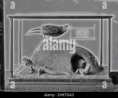 Inspiré par [Tuatara et Mutton Birds], studio Burton Brothers, studio de photographie, 1889, Dunedin, Photographie en noir et blanc, vitrine du musée avec panneau à l'intérieur de la lecture 'Otago University Museum - Tuatara mâle et femelle (Hattakia Punetata) et Mutton Birds, repensé par Artotop. L'art classique réinventé avec une touche moderne. Conception de lumière chaleureuse et gaie, de luminosité et de rayonnement de lumière. La photographie s'inspire du surréalisme et du futurisme, embrassant l'énergie dynamique de la technologie moderne, du mouvement, de la vitesse et révolutionne la culture Banque D'Images