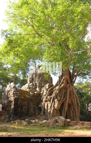 Plan vertical du temple Ta Som, région d'Angkor, Siem Reap, Cambodge Banque D'Images