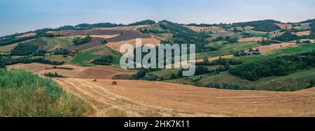 Les collines cultivées entre Fano et Pesaro en été.Province de Pesaro et Urbino, Marche, Italie. Banque D'Images