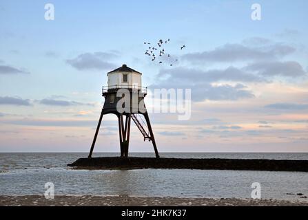 Un troupeau de mouettes survole le phare victorien de Dovercourt dans le magnifique ciel coloré de la soirée.Harwich & Dovercourt, côte nord d'Essex, Royaume-Uni Banque D'Images