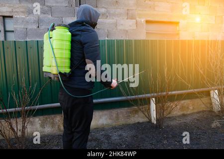 Agriculture écologique biologique.Défoquer l'homme fermier pulvérisant l'arbre avec un pulvérisateur manuel de pesticides contre les insectes dans le jardin de printemps.Agriculture et garde Banque D'Images