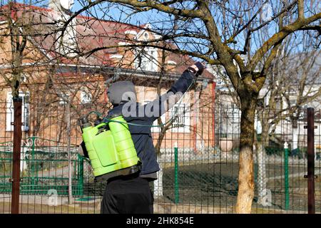 Agriculture écologique biologique.Défoquer l'homme fermier pulvérisant l'arbre avec un pulvérisateur manuel de pesticides contre les insectes dans le jardin de printemps.Agriculture et garde Banque D'Images