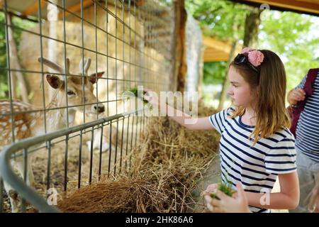 Jeune fille nourrissant des animaux sauvages dans un zoo le jour de l'été.Les enfants regardent des rennes dans une ferme.Les enfants s'amusent dans le jardin zoologique. Banque D'Images