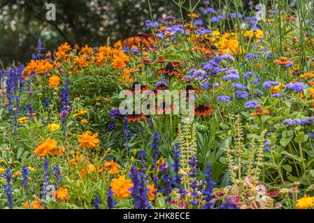 Fleurs colorées dans le parc de Prague en été Banque D'Images