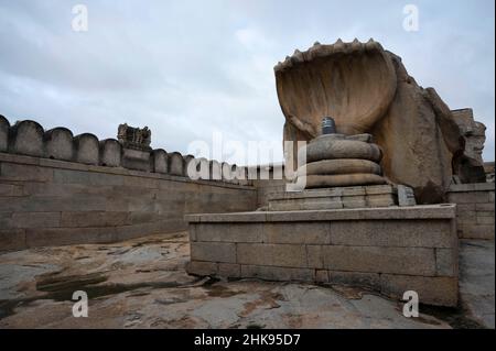 Nagalinga monolithique, hauteur de 12 pieds au-dessus d'un Shivalingam noir.L'un des plus grands Nagalinga en Inde, Lepakshi, Karnataka, Inde Banque D'Images