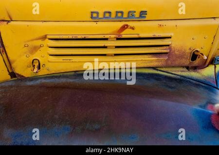 Un gros plan sur un camion Dodge d'époque rouillé en Arizona, aux États-Unis Banque D'Images