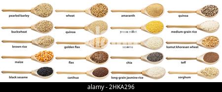 ensemble de différents grains polis avec des noms dans des cuillères en bois isolées sur fond blanc Banque D'Images