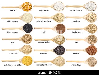 ensemble de vues de dessus de cuillère en bois avec divers gruaux avec des noms isolés sur fond blanc Banque D'Images
