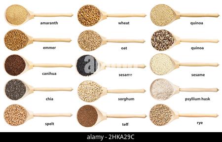 ensemble de vues de dessus de cuillère en bois avec différentes graines et grains avec des noms isolés sur fond blanc Banque D'Images