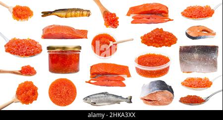 ensemble de poissons de saumon et de roes rouges isolés sur fond blanc Banque D'Images