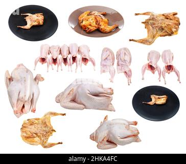 ensemble de poulets crus et rôtis et de cailles isolés sur fond blanc Banque D'Images