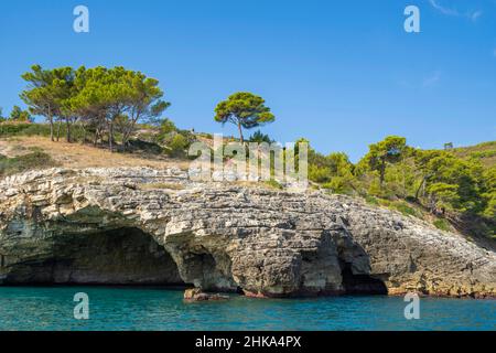 Parc national de Gargano, visite des grottes, Vieste, Pouilles, Italie, Europe Banque D'Images