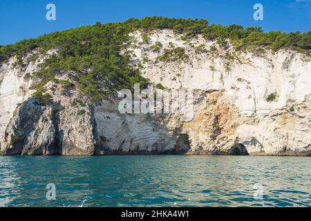 Parc national de Gargano, visite des grottes, Vieste, Pouilles, Italie, Europe Banque D'Images