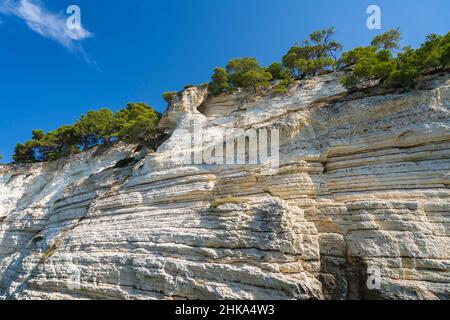 Parc national de Gargano, visite des grottes, Vieste, Pouilles, Italie, Europe Banque D'Images