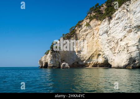 Parc national de Gargano, visite des grottes, Vieste, Pouilles, Italie, Europe Banque D'Images