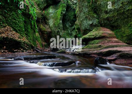 Devils pulpit, Glen Finnich, Écosse. Banque D'Images