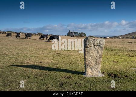 Lumière en fin d'après-midi sur une pierre des Hurlers datant du début du Néolithique, sur les Meion Downs, sur le robuste Bodmin Moor de Cornwall au Royaume-Uni. Banque D'Images