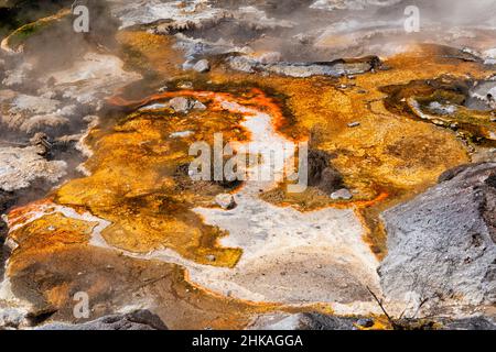 Caractéristique géothermique de la vallée volcanique de Waimangu, Rotorua, Nouvelle-Zélande Banque D'Images