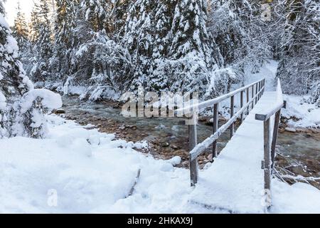 Pont en bois sur la rivière dans la neige en forêt d'hiver, vallée de Vrata, Slovénie Banque D'Images