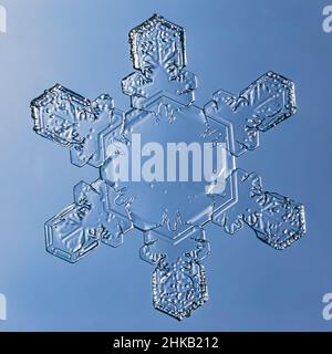 Flocon de neige sur fond lisse dégradé gris à bleu : photo macro de cristal de neige réel sur la surface du verre.Il s'agit d'un petit flocon de neige avec un motif inhabituel Banque D'Images