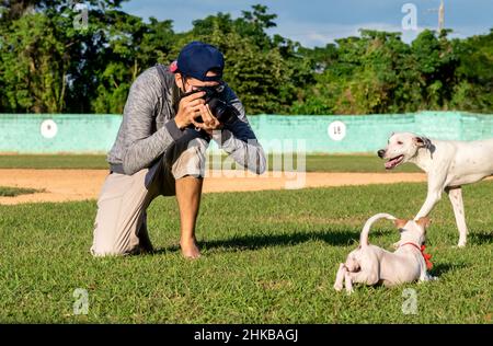 Jeune homme cubain avec un appareil photo numérique sur ses mains, prenant des photos de deux chiens blancs à l'extérieur sur l'herbe verte avec lumière naturelle. Banque D'Images