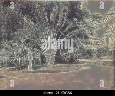 Inspiré par l'arbre par un arbre, Andries Boom posant par un arbre de voyageur (paume de ventilateur) dans le jardin de la culture, Paramaribo, novembre 1908. Partie de l'album photo de la famille Boom-Gonggrijp au Suriname et Curaçao., Andries Augustus Boom, Paramaribo, nov-1908, hauteur 83 mm × largeur 106 mm, réimaginé par Artotop. L'art classique réinventé avec une touche moderne. Conception de lumière chaleureuse et gaie, de luminosité et de rayonnement de lumière. La photographie s'inspire du surréalisme et du futurisme, embrassant l'énergie dynamique de la technologie moderne, du mouvement, de la vitesse et révolutionne la culture Banque D'Images