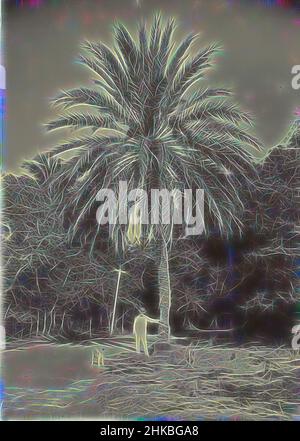 Inspiré par Palms, Un homme pose par un palmier, dans la maison de campagne de Zuikertuintje à Willemstad, Curaçao, juin 1910. Partie de l'album photo de la famille Boom-Gonggrijp au Suriname et Curaçao., Andries Augustus Boom, Curaçao, juin-1910, hauteur 163 mm × largeur 115 mm, réimaginé par Artotop. L'art classique réinventé avec une touche moderne. Conception de lumière chaleureuse et gaie, de luminosité et de rayonnement de lumière. La photographie s'inspire du surréalisme et du futurisme, embrassant l'énergie dynamique de la technologie moderne, du mouvement, de la vitesse et révolutionne la culture Banque D'Images