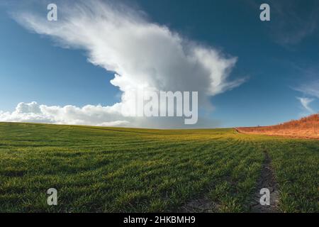 Un grand champ vert avant la pluie.Sol fertile dans les collines.Nuages épais sur la terre ferme dans la soirée Banque D'Images