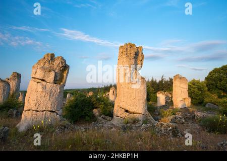 Le désert de pierre Pobiti Kamani - fabuleux phénomène de roche dans la province de Varna, Bulgarie - destination touristique Banque D'Images