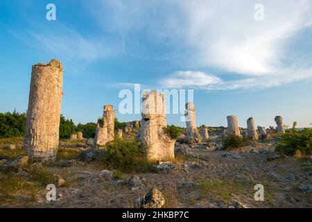 Le désert de pierre Pobiti Kamani - fabuleux phénomène de roche dans la province de Varna, Bulgarie - destination touristique Banque D'Images