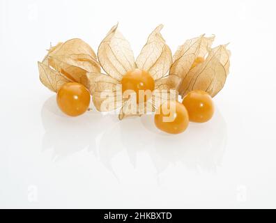 Baie physalis mûre isolée sur fond blanc.Macro de gros plan Banque D'Images