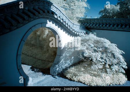 image infrarouge - jardin chinois trois amis de l'hiver - ville de zurich - suisse Banque D'Images