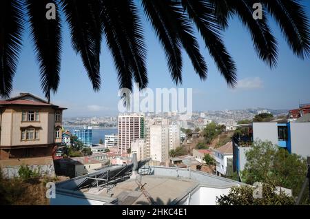 Valparaiso, Chili - février 2020 : vue panoramique de la ville de Valparaiso à travers les feuilles de palmier. Panorama de Valparaiso depuis Paseo Dimalow Cerro Alegre Banque D'Images