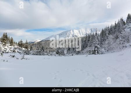 Zakopane, Pologne. 27 janvier 2022. Vue d'hiver sur les montagnes Tatra depuis le sentier jusqu'à Hala Gąsienicowa. Crédit: Waldemar Sikora Banque D'Images