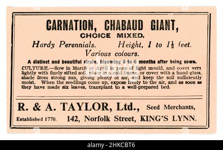 Emballage de semences original du début des années 1900 contenant des semences - Carnation, Chabaud Giant, choix de marchands de semences mixtes R & A Taylor of King's Lynn, Norfolk, vers les années 1930 Banque D'Images