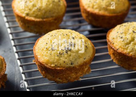 Muffins aux graines de pavot au citron faits maison à manger pour le petit déjeuner Banque D'Images