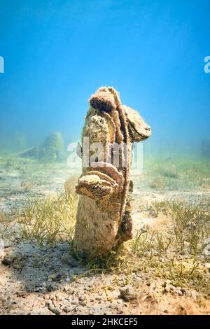 Un champ sous-marin de mussles de ventilateur (pinna nobilis), en sortant du fond sablonneux. Banque D'Images