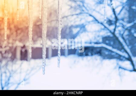 Les glaces fondent sur la lumière du soleil en hiver. Concept de printemps. Banque D'Images