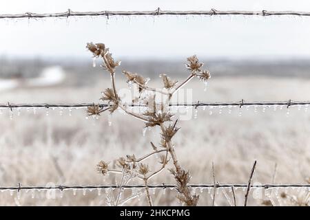 FLEUR MONTICULE, TEXAS, ÉTATS-UNIS.3rd févr. 2022.2/3/22 -FLOWER MOUND, TEXAS - Un front froid frappe le nord du Texas et le reste du pays, apportant de la pluie verglaçante et de la neige dans la région.En 2021, le Texas a connu l'une des pires tempêtes hivernales de l'histoire qui ont conduit à la coupure du réseau électrique de l'État à des milliers de résidents ; avec cette nouvelle pensée des Texans, les gens se préparent au pire.Ce jeudi, 02/03/2022, la neige a commencé à tomber tôt le matin, en inertant la pluie gelée qui a déneigé le nord du Texas la nuit précédente.Des villes comme Dallas et fort Worth ont publié des alertes de haz Banque D'Images