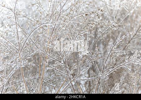 FLEUR MONTICULE, TEXAS, ÉTATS-UNIS.3rd févr. 2022.2/3/22 -FLOWER MOUND, TEXAS - Un front froid frappe le nord du Texas et le reste du pays, apportant de la pluie verglaçante et de la neige dans la région.En 2021, le Texas a connu l'une des pires tempêtes hivernales de l'histoire qui ont conduit à la coupure du réseau électrique de l'État à des milliers de résidents ; avec cette nouvelle pensée des Texans, les gens se préparent au pire.Ce jeudi, 02/03/2022, la neige a commencé à tomber tôt le matin, en inertant la pluie gelée qui a déneigé le nord du Texas la nuit précédente.Des villes comme Dallas et fort Worth ont publié des alertes de haz Banque D'Images