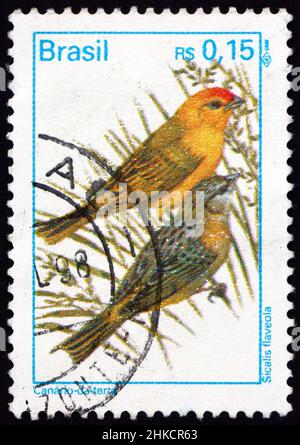 BRÉSIL - VERS 1994: Un timbre imprimé au Brésil montre safran finch, sicalis flaveola, est un oiseau d'Amérique du Sud, vers 1994 Banque D'Images