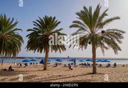 Palmen und Urlauber am Strand Playa de Las Teresitas, Nord-Tenerife, Ténériffa, Kanarische Inseln, Espagnol Banque D'Images