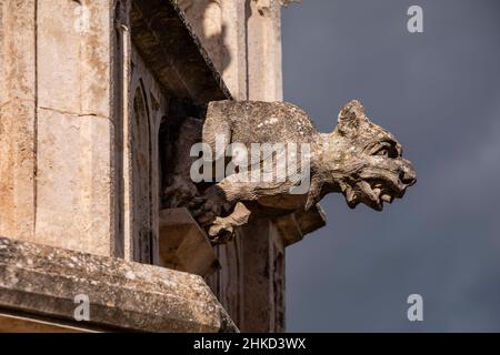 gargoyle dans le panthéon de la famille Garau.Cimetière de Santa Margalida, Majorque, Iles Baléares, Espagne Banque D'Images