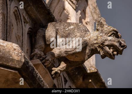 gargoyle dans le panthéon de la famille Garau.Cimetière de Santa Margalida, Majorque, Iles Baléares, Espagne Banque D'Images